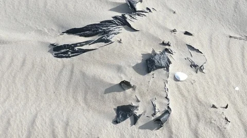 Plastic foil pollution in beach sand Stock Footage 121671697
