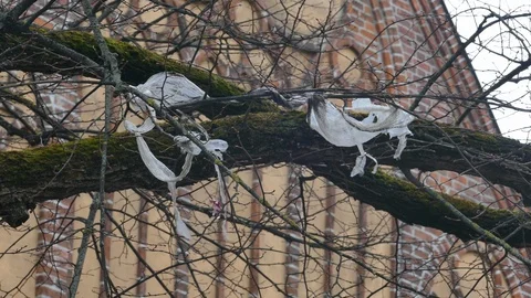 Plastic foil pollution in tree branches 動画素材 121638057