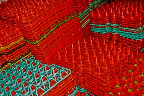 Plastic formwork for eggs Stock Photos