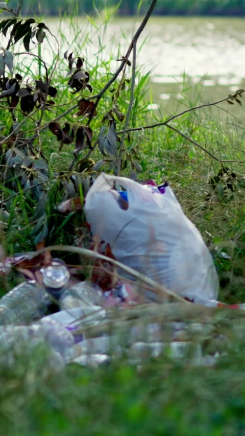 Plastic garbage and debris scattered near water on river shore Stock Footage 340577672