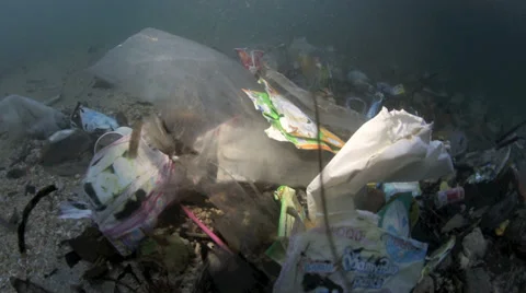 Plastic garbage and other trash underwater Bunaken Island Stock Footage