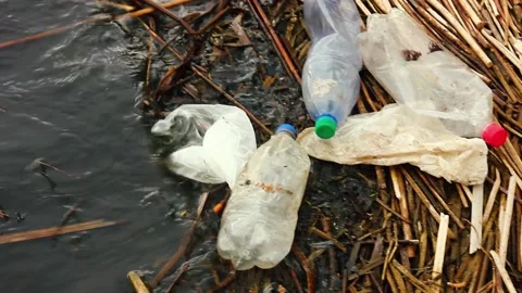 Plastic garbage and plastic bags on the river bank float on the water Video stock 146300731