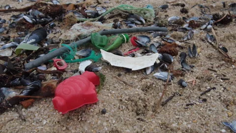 Plastic garbage and seashells on sandy beach, slow motion pan Stock Footage 145625897