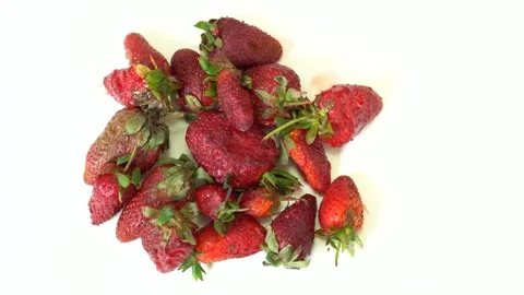 Plastic Garbage Box In Home. Stockbeeldmateriaal 145699803