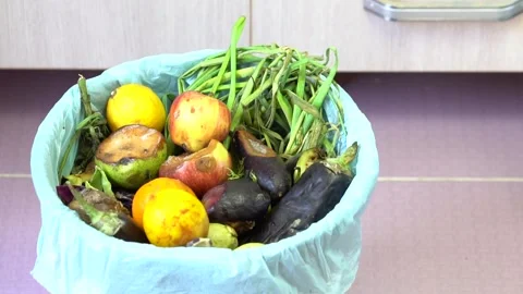 Plastic Garbage Box In Home. Stock Footage 145704334