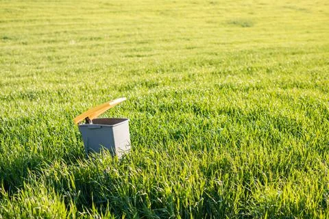 Plastic garbage container stands in the middle of a green field. Concept of s Stock Photos