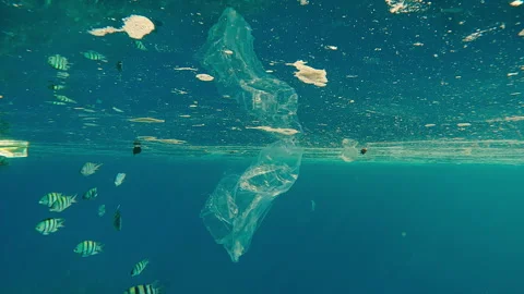 Plastic garbage drifts in an oiled slick in ocean reflecting in water surface, Stock Footage 339969964