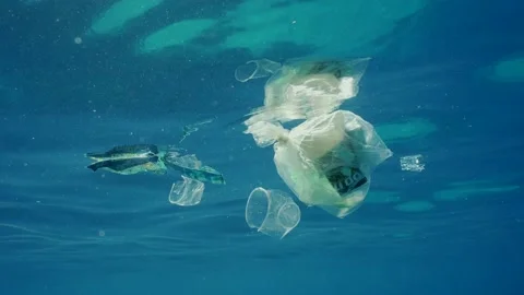 Plastic garbage drifts under surface of sea in sun rays, slow motion Vídeos de archivo 236194715