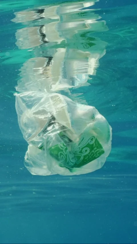 Plastic garbage drifts under surface of sea, slow motion. Plastic bags and other Stock Footage 238439137