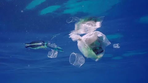 Plastic garbage drifts under surface of sea in sun rays, slow motion Stock Footage 260539245