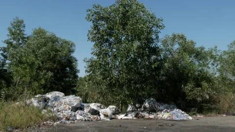 Plastic garbage dump near the peatlands forest Stock Footage 157804476