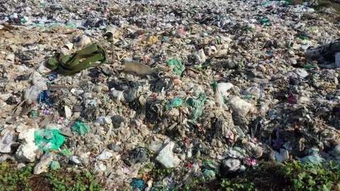 Plastic garbage dumped at landfill Stock Footage 123278288