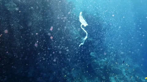 Plastic garbage floating underwater polluting a coral reef ecosystem with fish Stock Footage 341881347