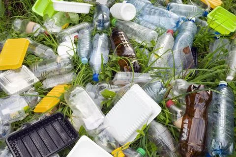Plastic garbage in the forest among the grass. Bottles, disposable containers 库存照片