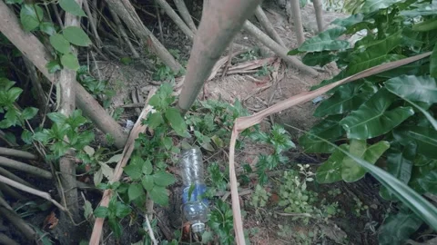 Plastic Garbage in Forest Stock Footage 139241020