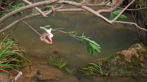 Plastic garbage is hanging on a tree branch above the stream Stock Footage 231170115