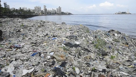 Plastic garbage near Mumbai Stock-Footage 116857341