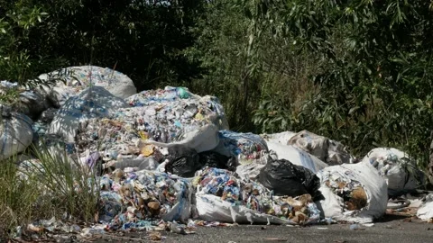 Plastic garbage pile near the peatlands forest Stock Footage 157804015