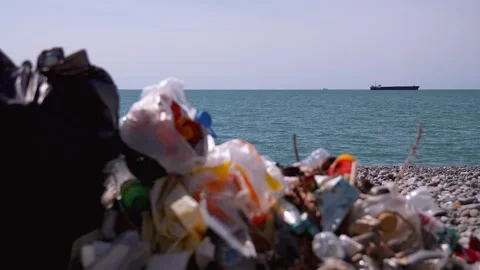 Plastic garbage polluting a beautiful ocean beach Vidéo 338162507
