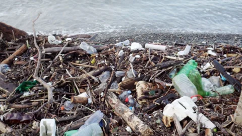 Plastic garbage polluting the seashore. Stock Footage 246880434