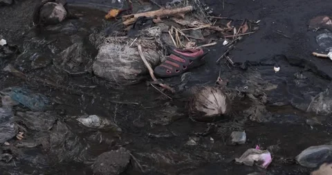 Plastic garbage pollution on the black sand beach. Dirty sea shore 스톡 동영상 154881135