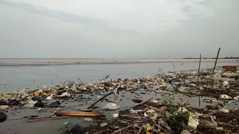 Plastic Garbage Pollution Contaminates The Beach Stock Footage 230700045