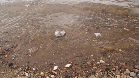 Plastic garbage pollution of the river bank. container. Stock Footage 237704954