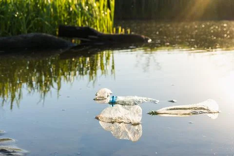 Plastic garbage in a pond, the concept of cleaning the environment from the p Stock-Fotos