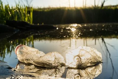 Plastic garbage in a pond, the concept of cleaning the environment from the Stock Photos