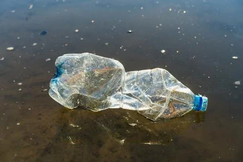 Plastic garbage in a pond, the concept of cleaning the environment from the Foto stock