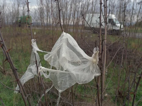 Plastic garbage at the road Stock-Footage 83858756