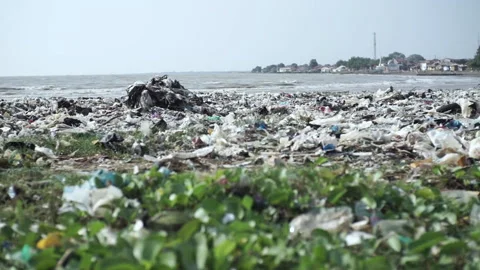 Plastic garbage at the sand in the beach Stock Footage 137780343
