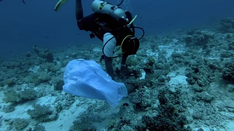 Plastic garbage - scuba divers picks up trash from the seabed - Red Sea Stock Footage 96092018