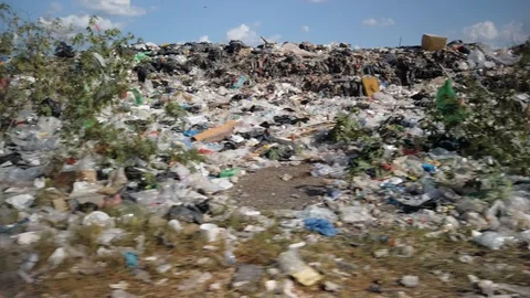 Plastic garbage strewn everywhere in the vegetation on a hot day with blue sky Stock Footage 128813385