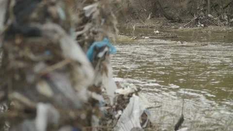 Plastic garbage tangled in the bushes on the river bank. Stock Footage 188141384