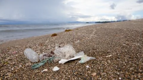 Plastic garbage thrown to the seashore. Beach pollution. Stock Photos