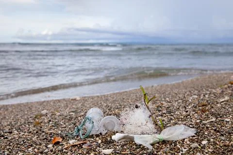 Plastic garbage thrown to the seashore. Stock Photos