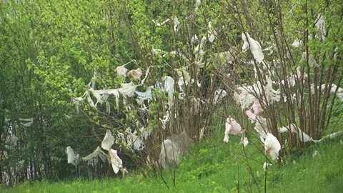 Plastic garbage on the tree Stock Footage 88653091