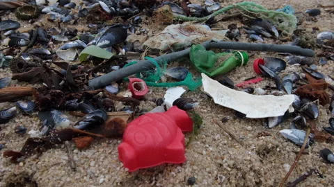 Plastic garbage washed up on the sandy beach in winter Video stock 145625936
