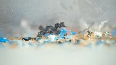 Plastic gets into the pond and gradually destroyed Stock Photos