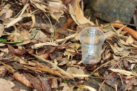 Plastic glass garbage Stock-Fotos