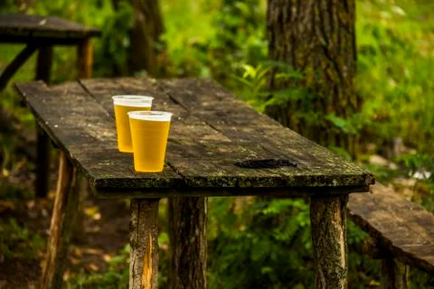 Plastic glasses of beer Stock Photos