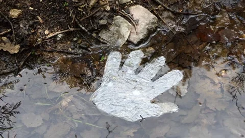 Plastic glove thrown into the lake Stock Footage 241608703