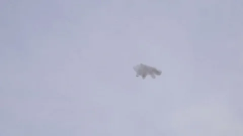 Plastic Gloves Flying in the Wind Stock-Footage 73725099