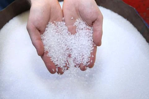 Plastic granules in human hands. Quality checking. Stock Photos