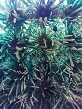 Plastic grass Stock Photos