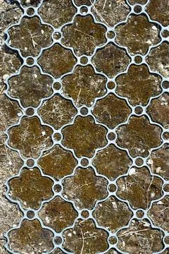 Plastic ground grid paver with dry moss background Stock Photos