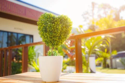 Plastic heart shaped tree Stock Photos