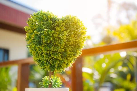 Plastic heart shaped tree Stock Photos
