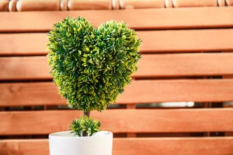 Plastic heart shaped tree Photos